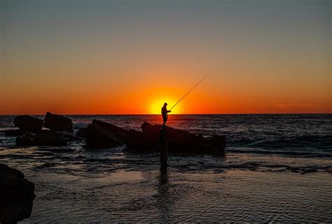 Fishing licences go digital .